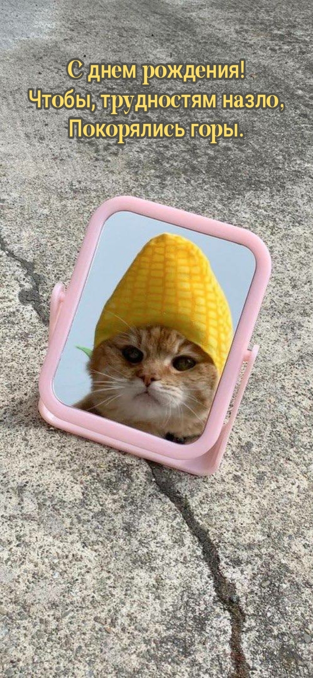 С днем рождения! Чтобы, трудностям назло, покорялись горы.