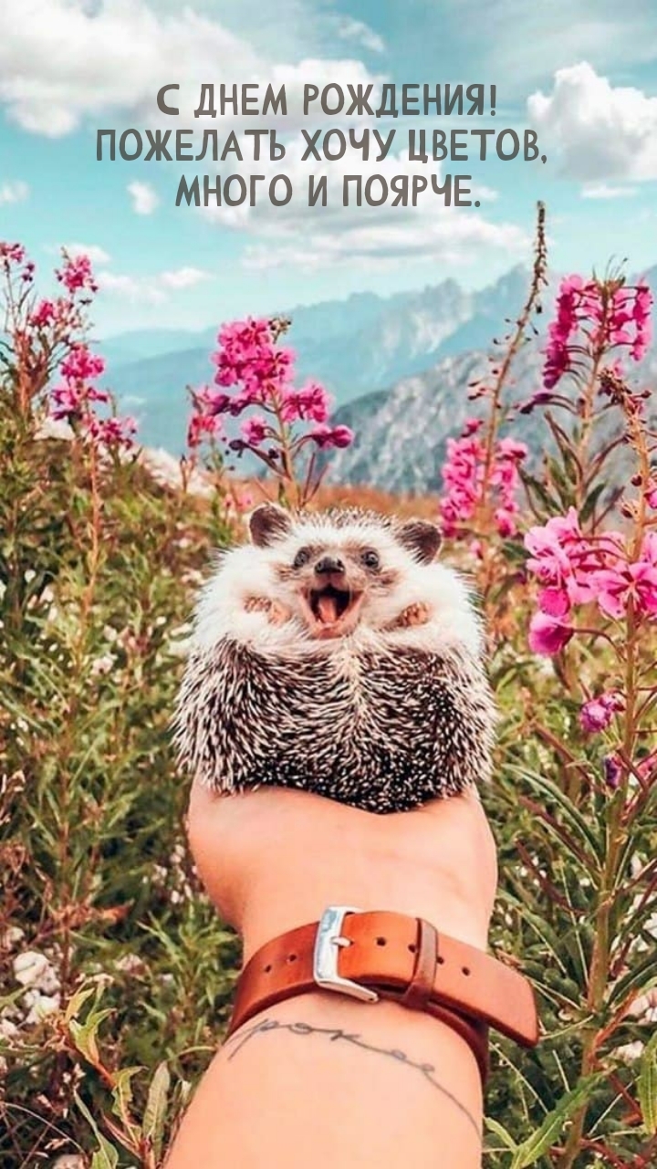 С днем рождения! Пожелать хочу цветов, много и поярче.