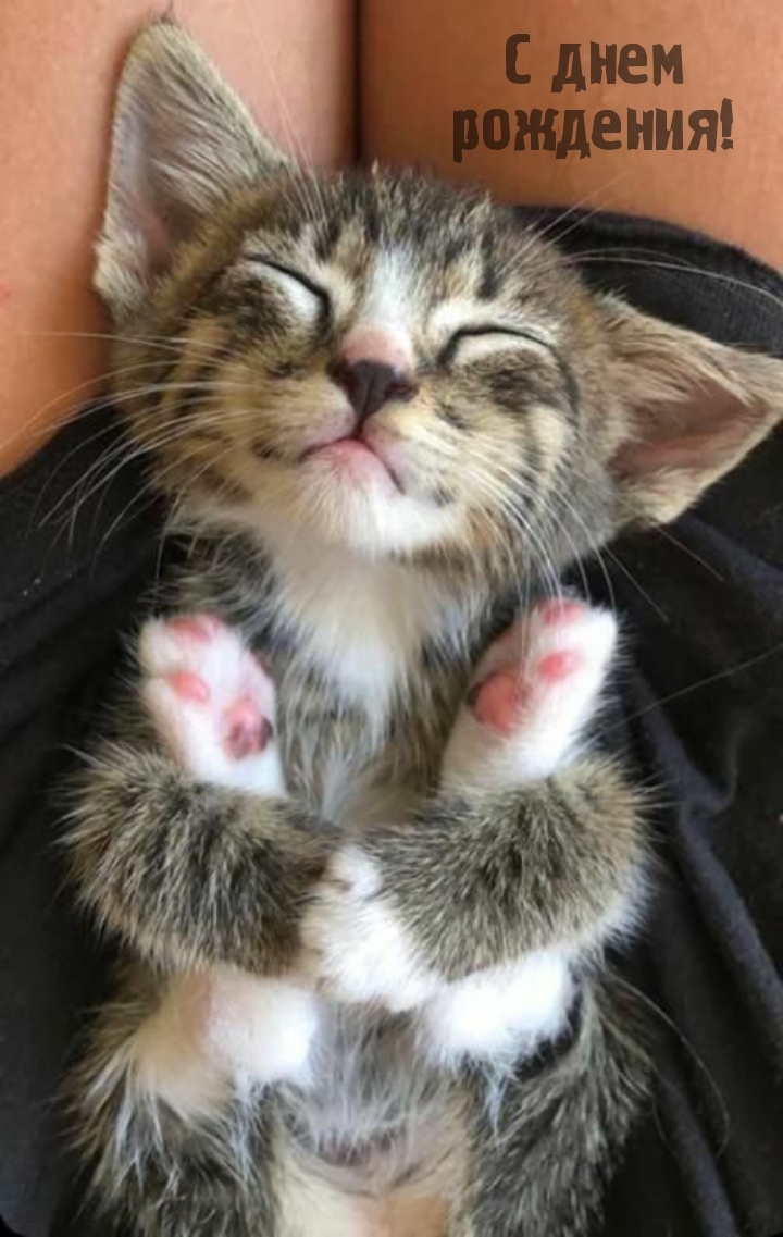 С днем рождения!
