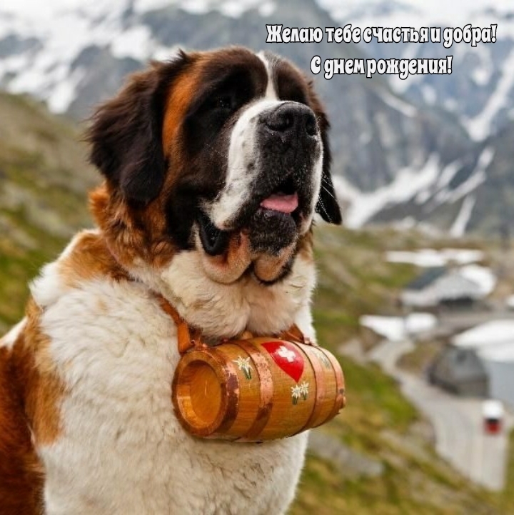 Желаю тебе счастья и добра! С днем рождения!