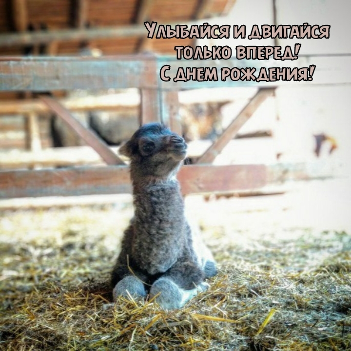 Улыбайся и двигайся только вперед! С днем рождения!