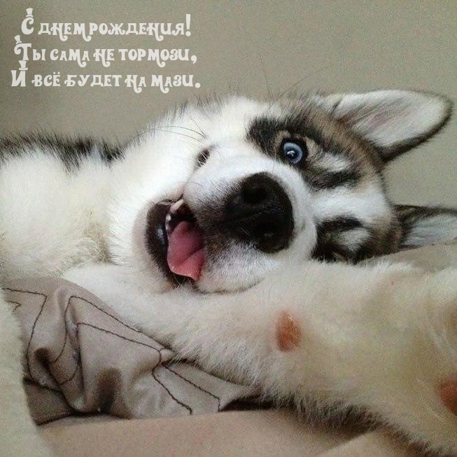 С днем рождения! Ты сама не тормози, и всё будет на мази.