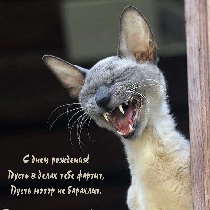 С днем рождения! Пусть в делах тебе фартит