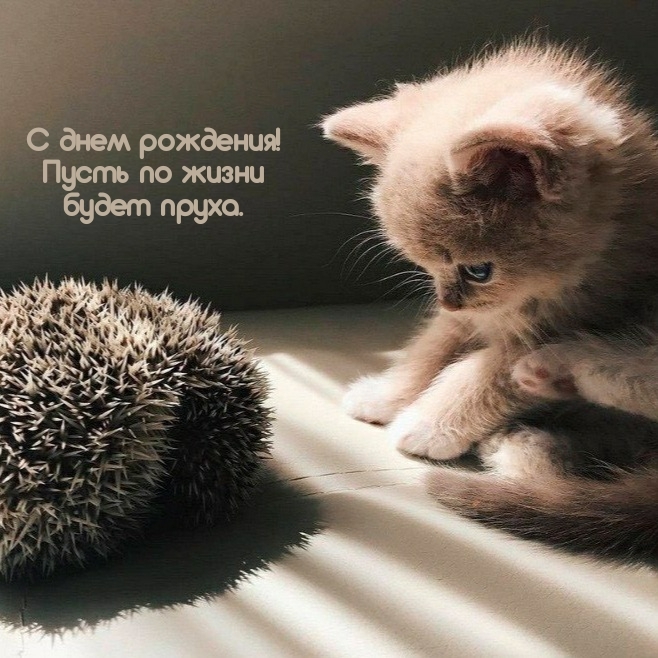 С днем рождения! Пусть по жизни будет пруха.