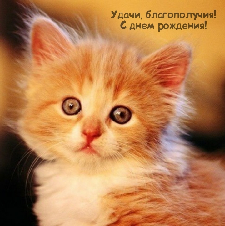 Удачи, благополучия! С днем рождения!