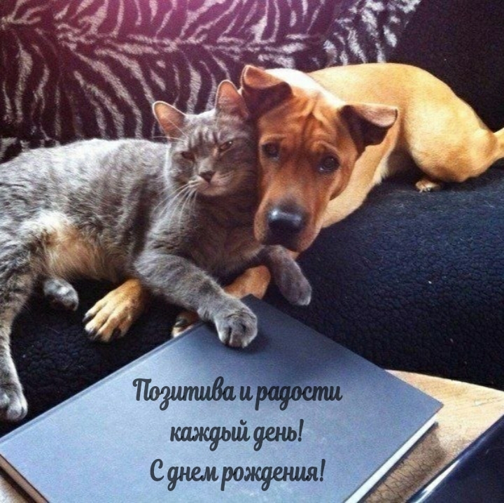 Позитива и радости каждый день! С днем рождения!