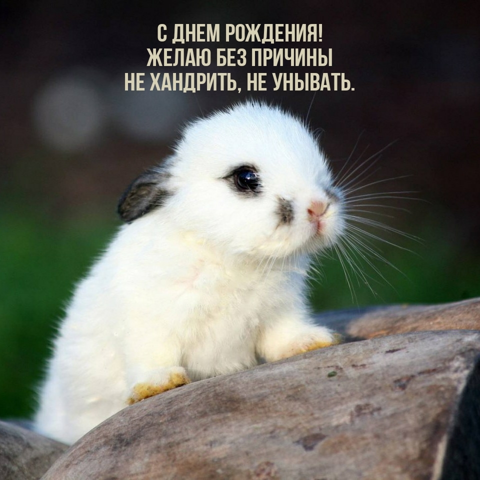 С днем рождения! Желаю без причины не хандрить, не унывать.