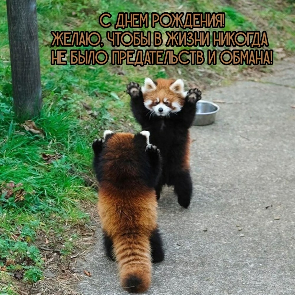 С днем рождения! Чтобы в жизни никогда не было обмана!