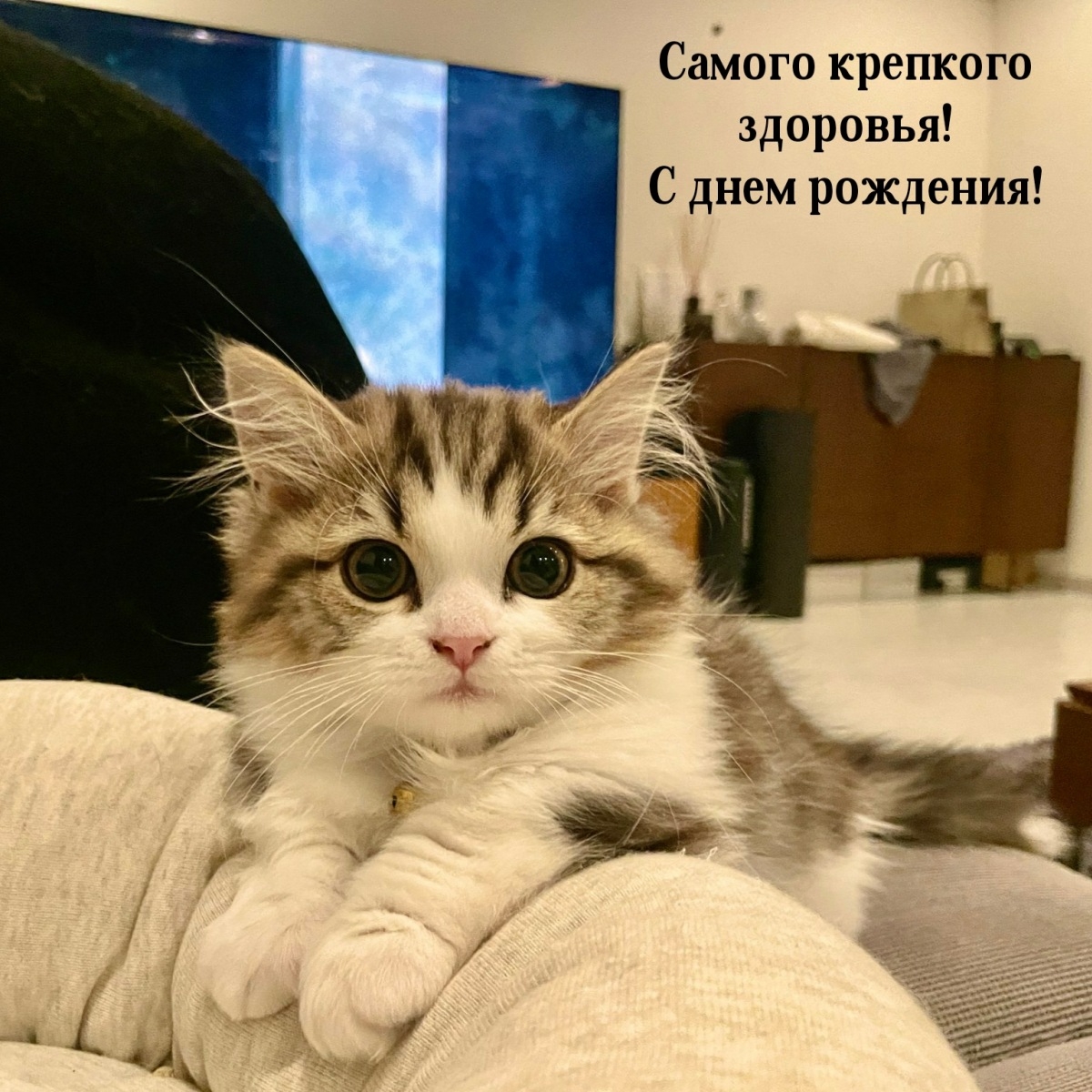 Самого крепкого здоровья! С днем рождения!