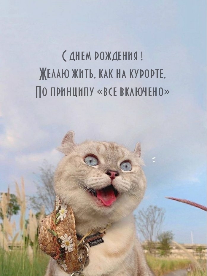 С днем рождения! Желаю жить, как на курорте