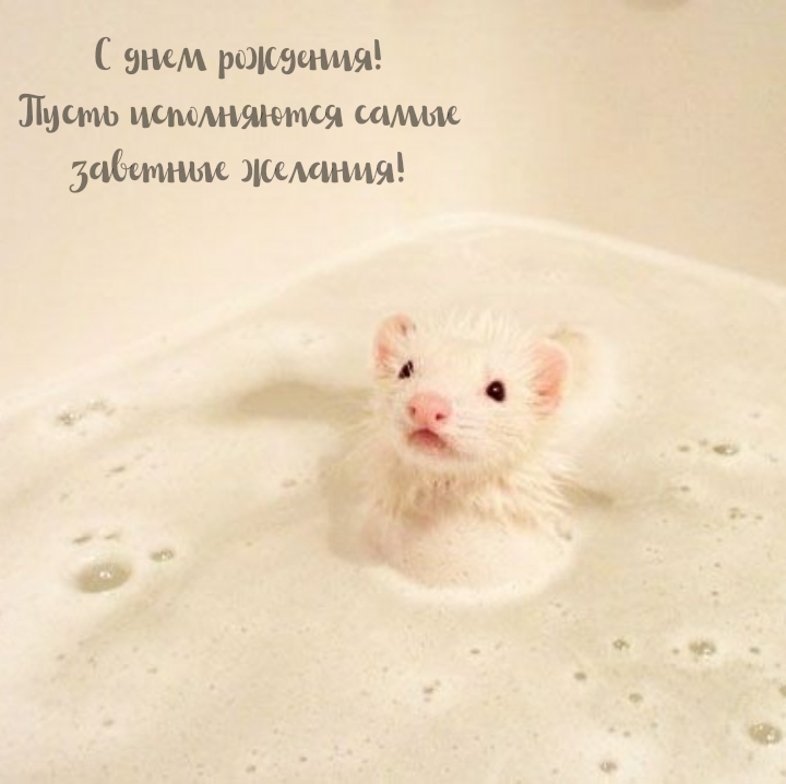 С днем рождения! Пусть исполняются самые заветные желания!