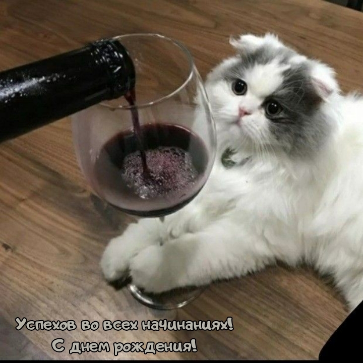 Успехов во всех начинаниях! С днем рождения!