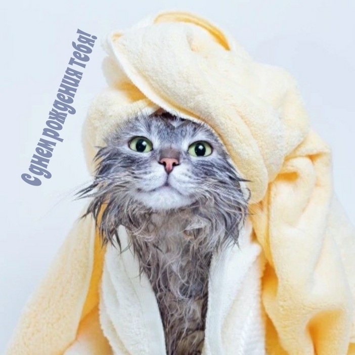 С днем рождения тебя!