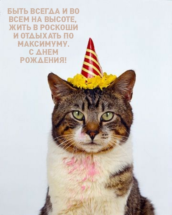 С днем рождения! Быть всегда и во всем на высоте