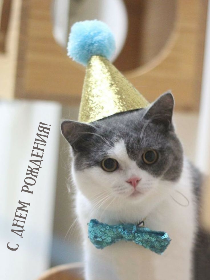 С днем рождения!