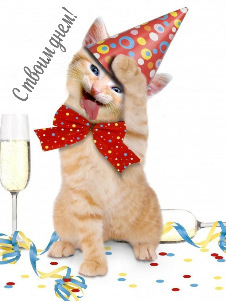 С твоим днем!