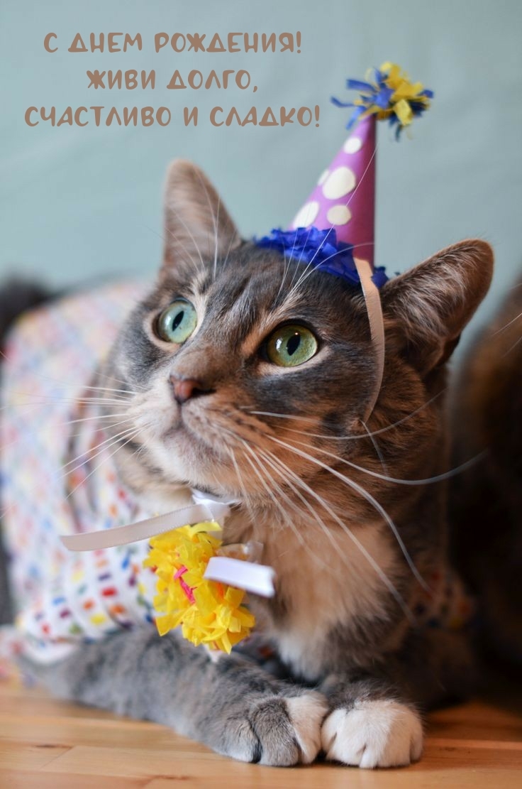 С днем рождения! Живи долго, счастливо и сладко!