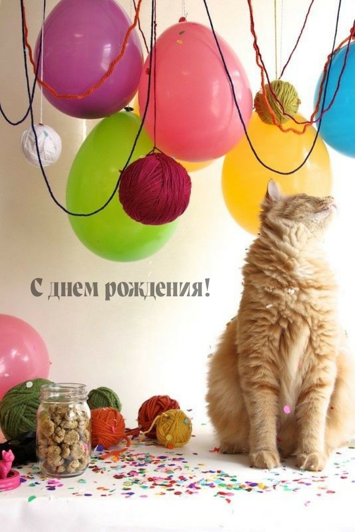 С днем рождения!