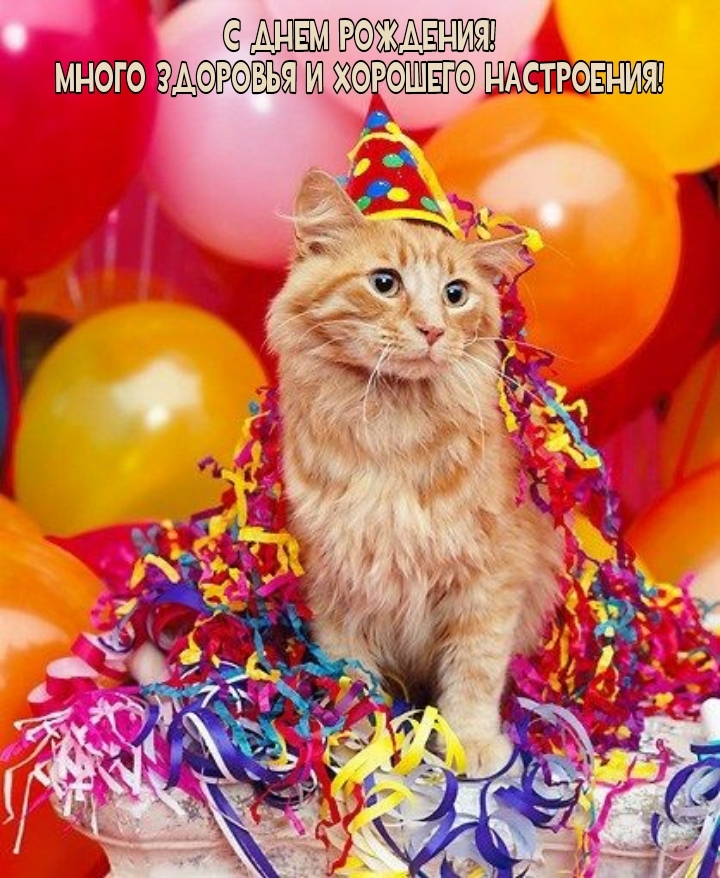 С днем рождения! Много здоровья и хорошего настроения!