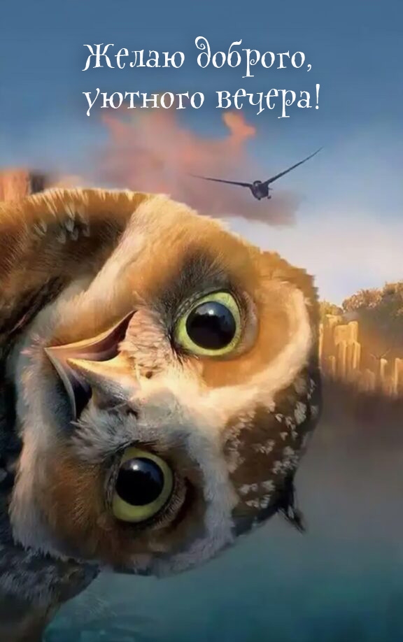 Желаю доброго, уютного вечера!