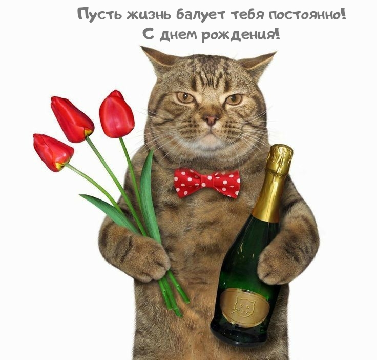 Пусть жизнь балует тебя постоянно! С днем рождения!