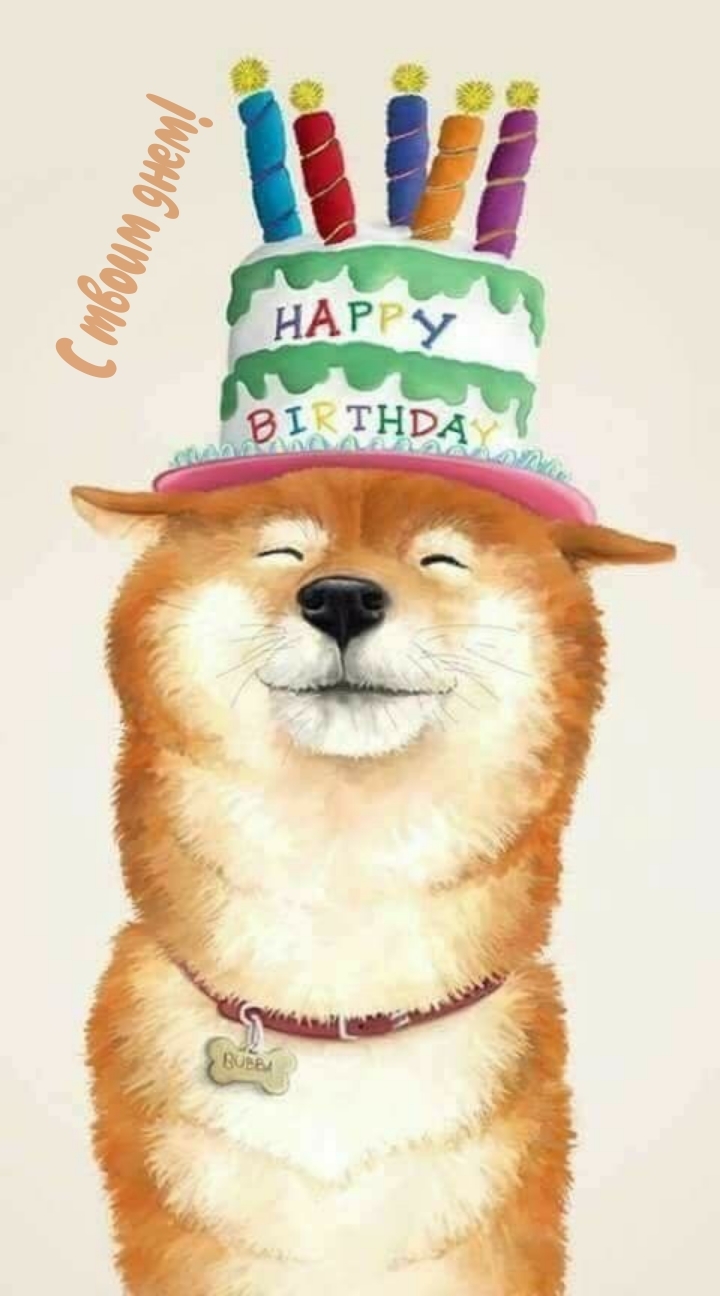 С твоим днем!