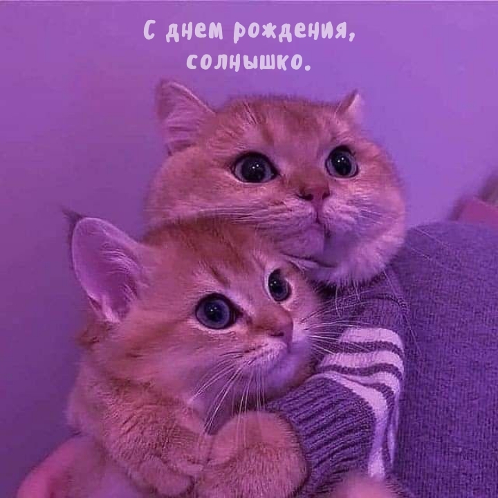 С днем рождения, солнышко.