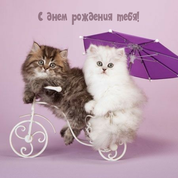 С днем рождения тебя!