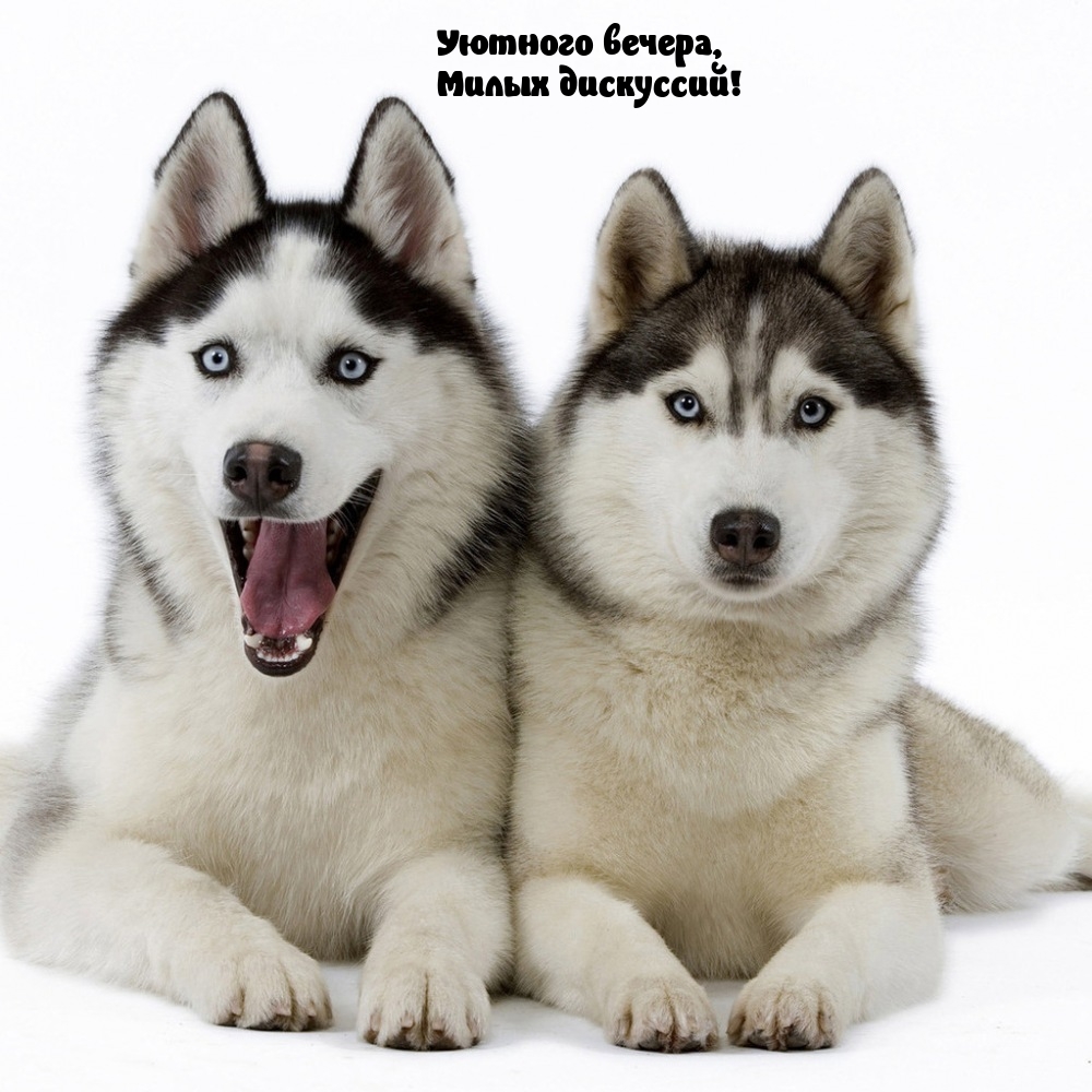 Уютного вечера, милых дискуссий!