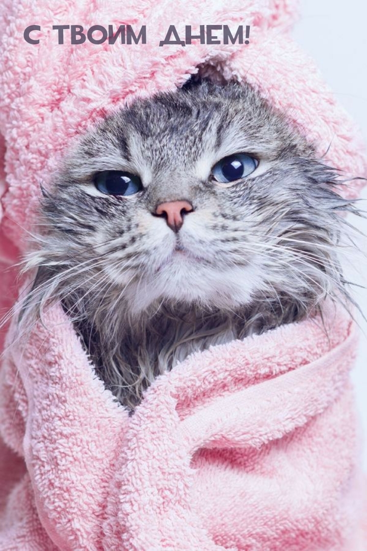 С твоим днем!