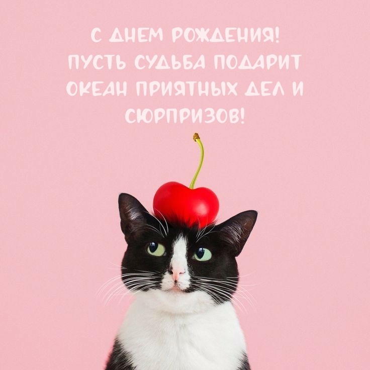С днем рождения! Пусть судьба подарит океан приятных дел