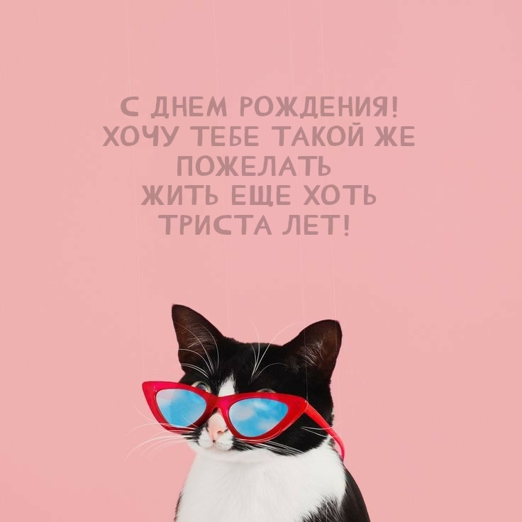 С днем рождения! Хочу такой же пожелать жить еще хоть триста лет! 