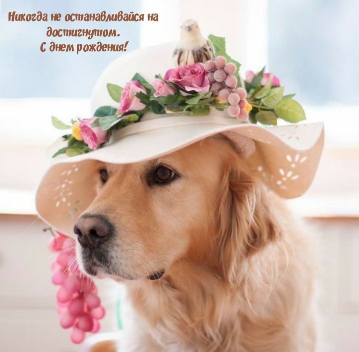 Никогда не останавливайся на достигнутом. С днем рождения!