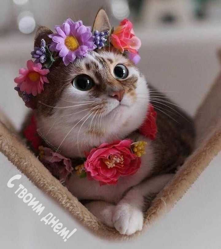 С твоим днем!