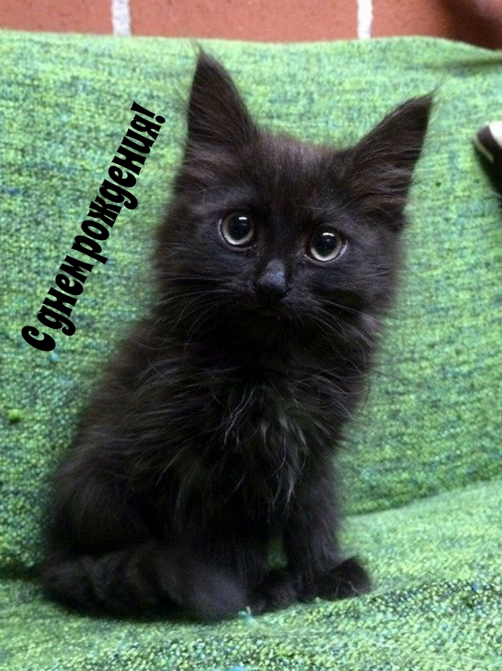 С днем рождения!