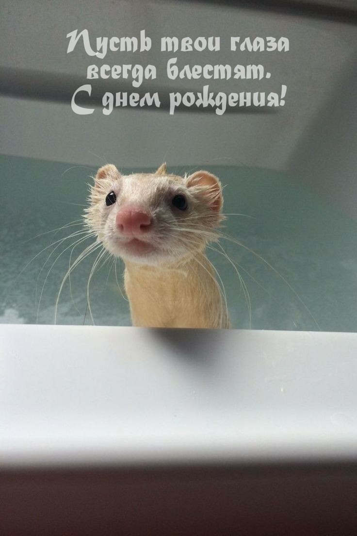 Пусть твои глаза всегда блестят. С днем рождения!