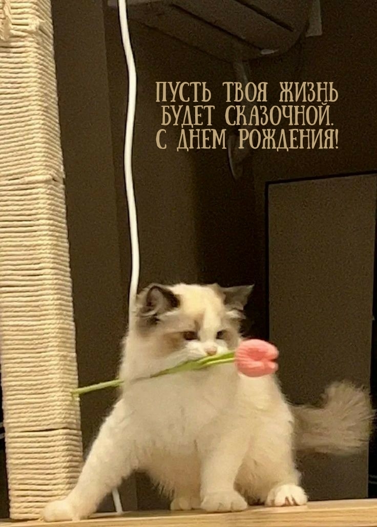 Пусть твоя жизнь будет сказочной. С днем рождения!