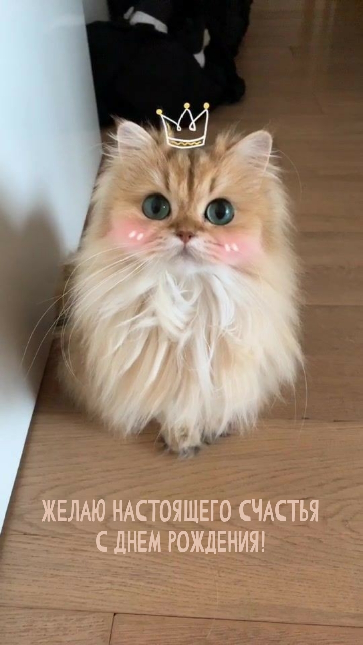 Желаю настоящего счастья с днем рождения!