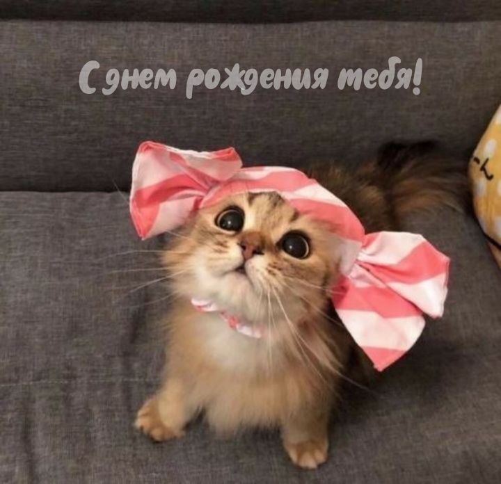 С днем рождения тебя!