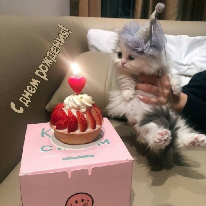 С днем рождения!