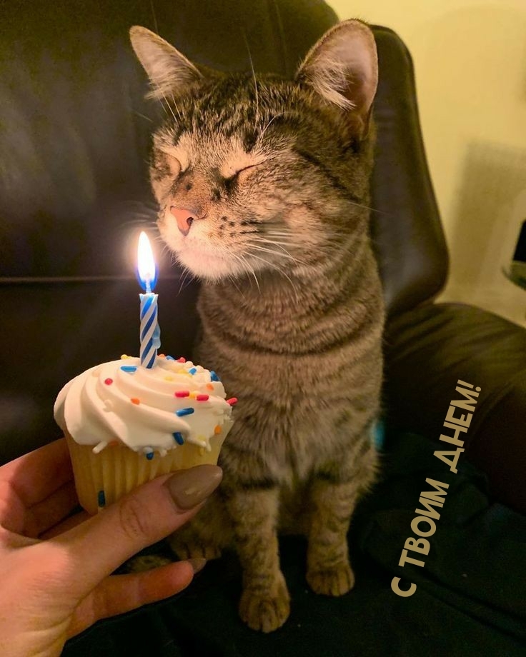 С твоим днем!