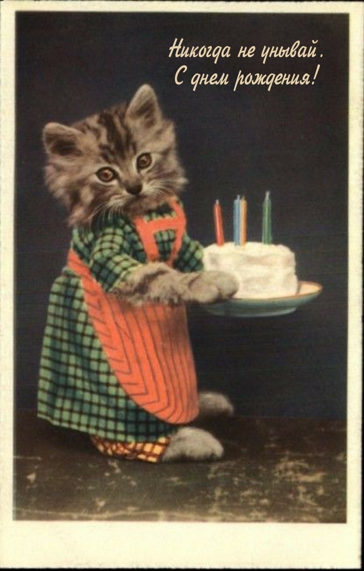 Никогда не унывай. С днем рождения!