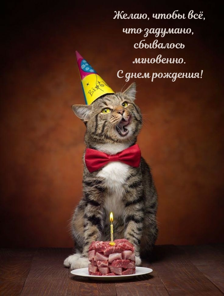 Желаю, чтобы всё, что задумано, сбывалось. С днем рождения!