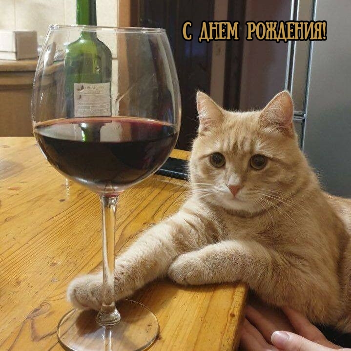 С днем рождения!