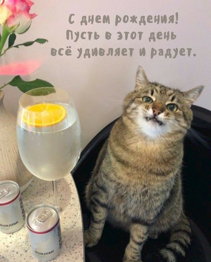 С днем рождения! Пусть в этот день всё удивляет и радует.