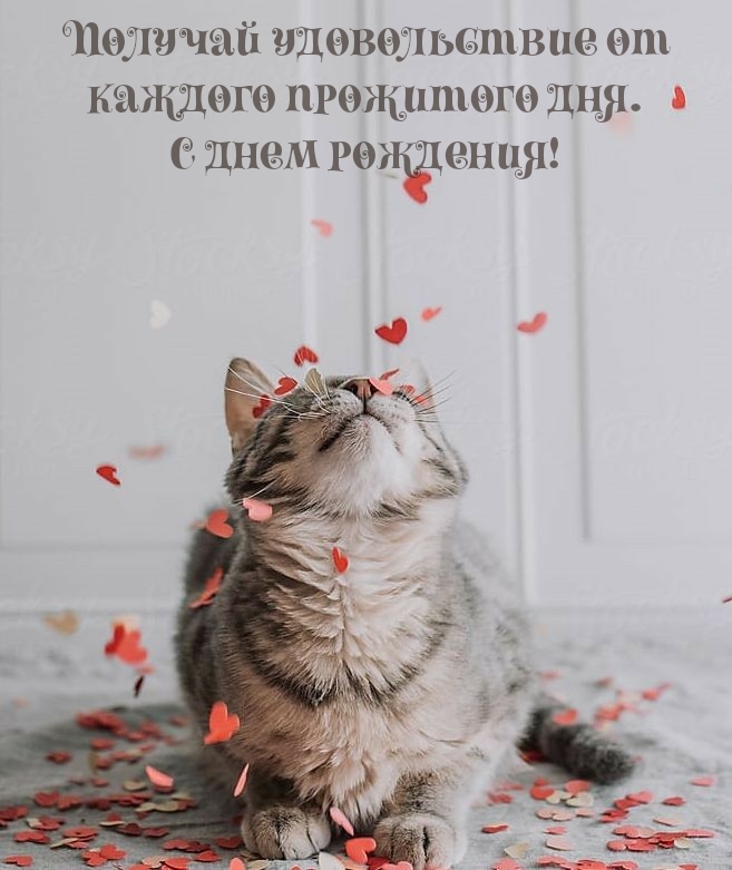 Получай удовольствие от каждого прожитого дня. С днем рождения!