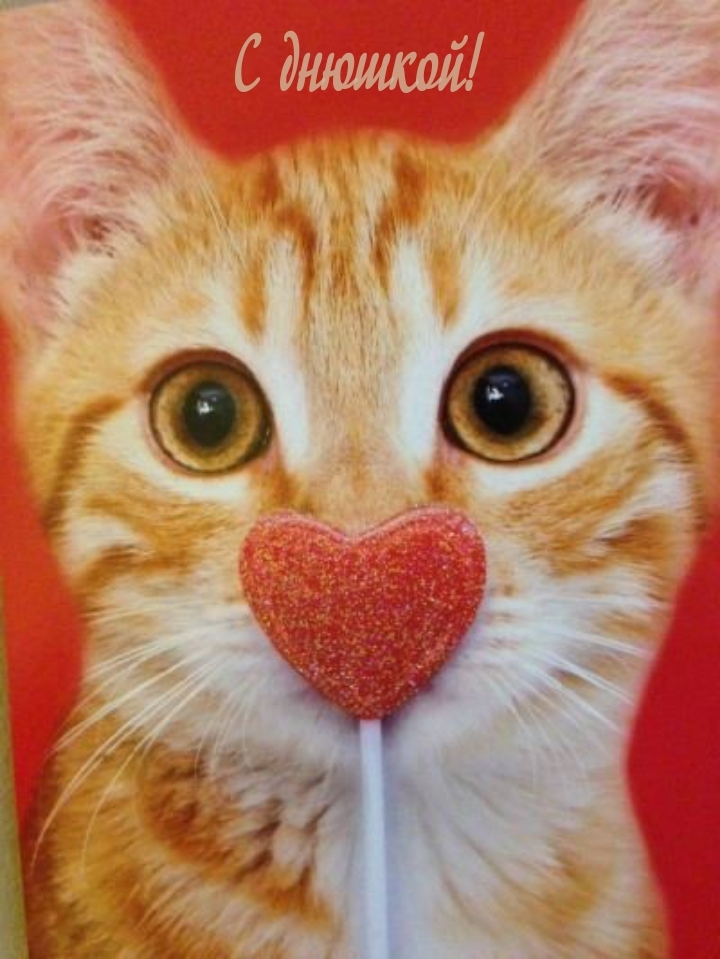 С днюшкой!