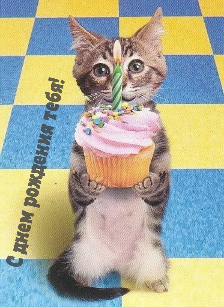 С днем рождения тебя!
