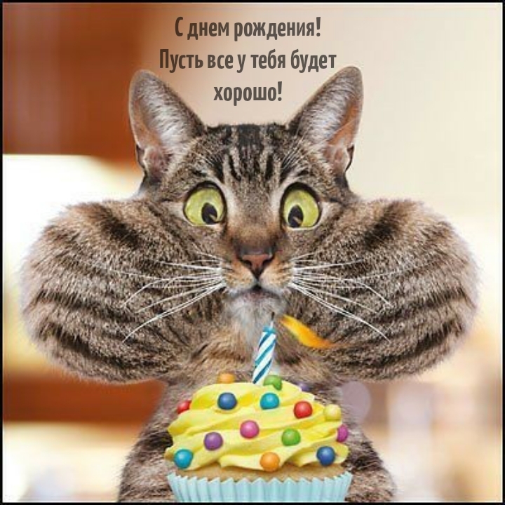 С днем рождения! Пусть все у тебя будет хорошо!