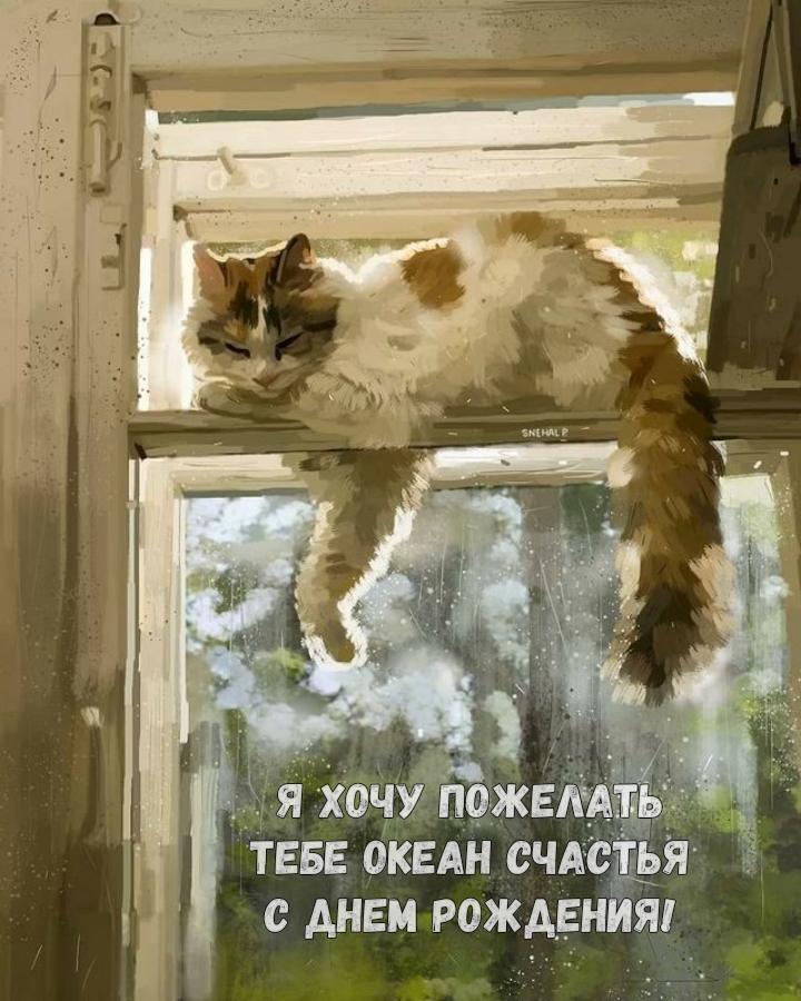 Я хочу пожелать тебе океан счастья С днем рождения!
